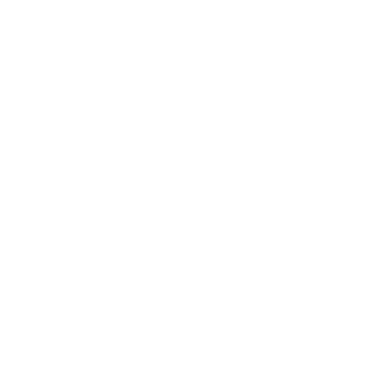لوگو همراه با اسم ثبتی شرکت